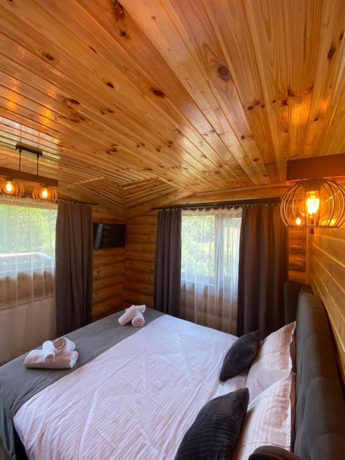 Bellevue Lodge *
