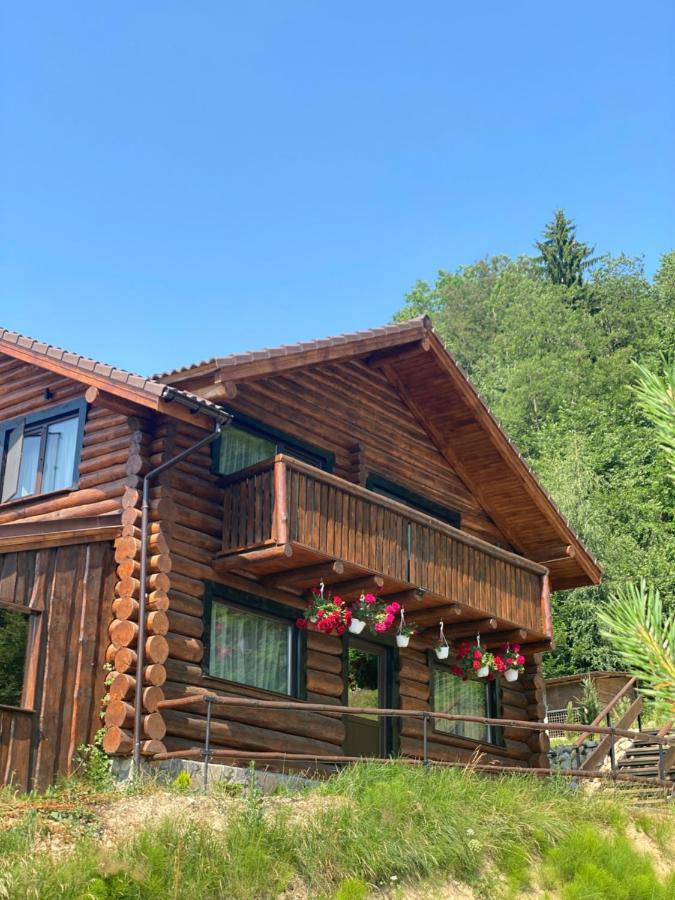 Bellevue Lodge