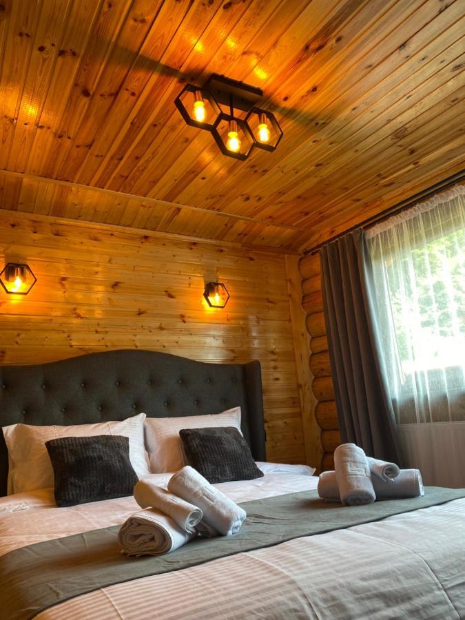 Bellevue Lodge *